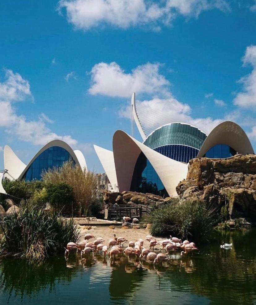Apartamentos Ciudad De Las Artes Y Las Ciencias บาเลนเซีย ภายนอก รูปภาพ